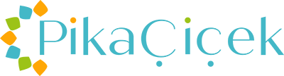 PİKA ÇİÇEK
